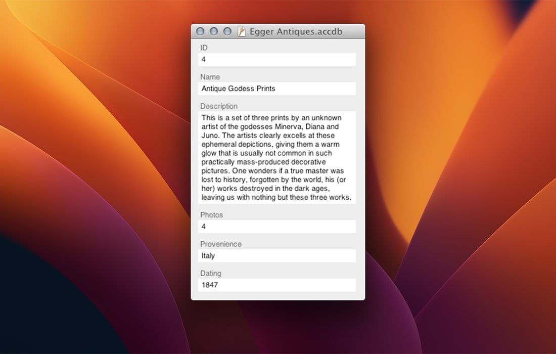 MDB ACCDB Viewer screenshot 1